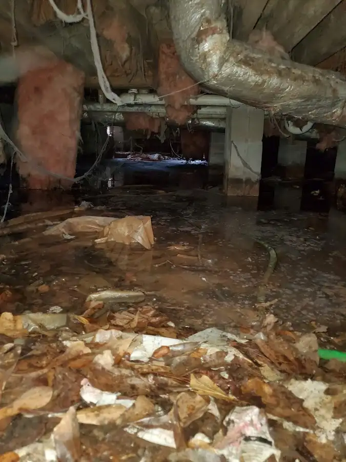 Crawl space flood assessment for Leak Detection & Repair in Elba