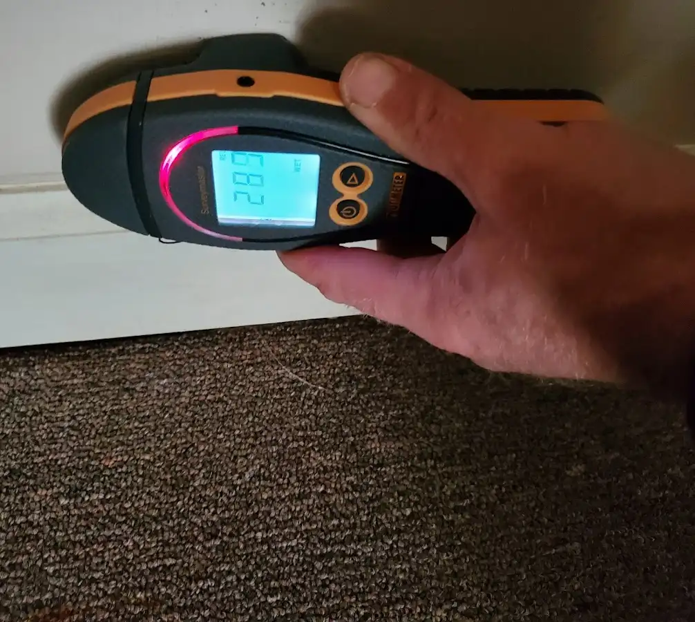 Moisture detection at baseboard during Storm Damage Restoration in Elba